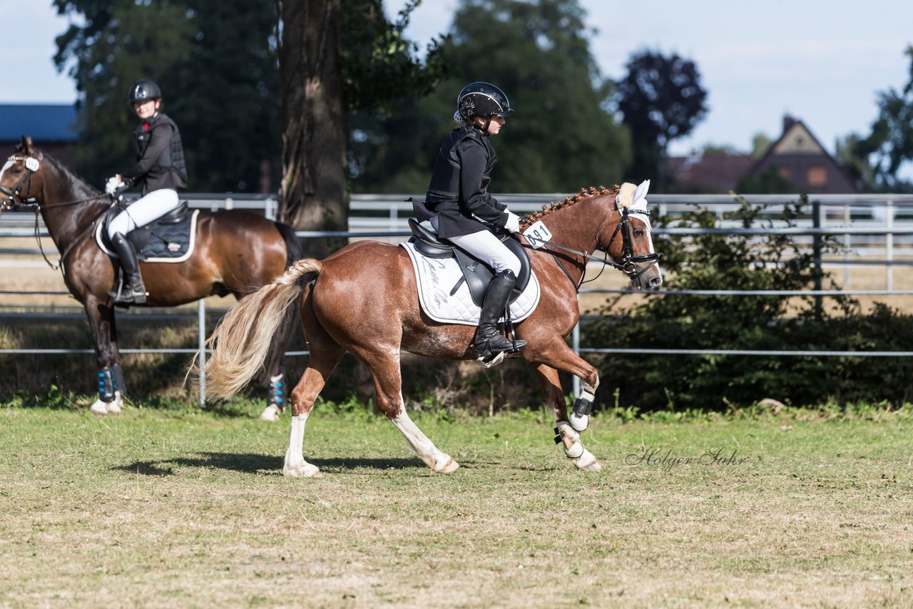 Bild 117 - Pony Akademie Turnier